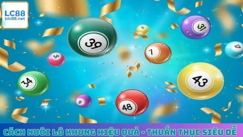 Cách Nuôi Lô Khung Hiệu Quả