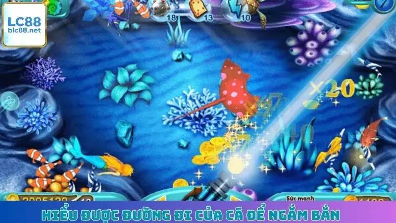 Hiểu được đường đi của cá để ngắm bắn