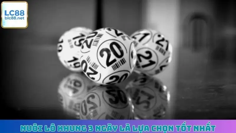 Nuôi lô khung 3 ngày là lựa chọn tốt nhất