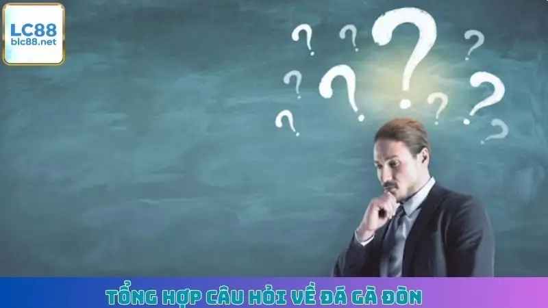 Tổng hợp câu hỏi về đá gà đòn